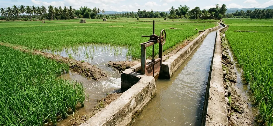 Image showing irrigation
